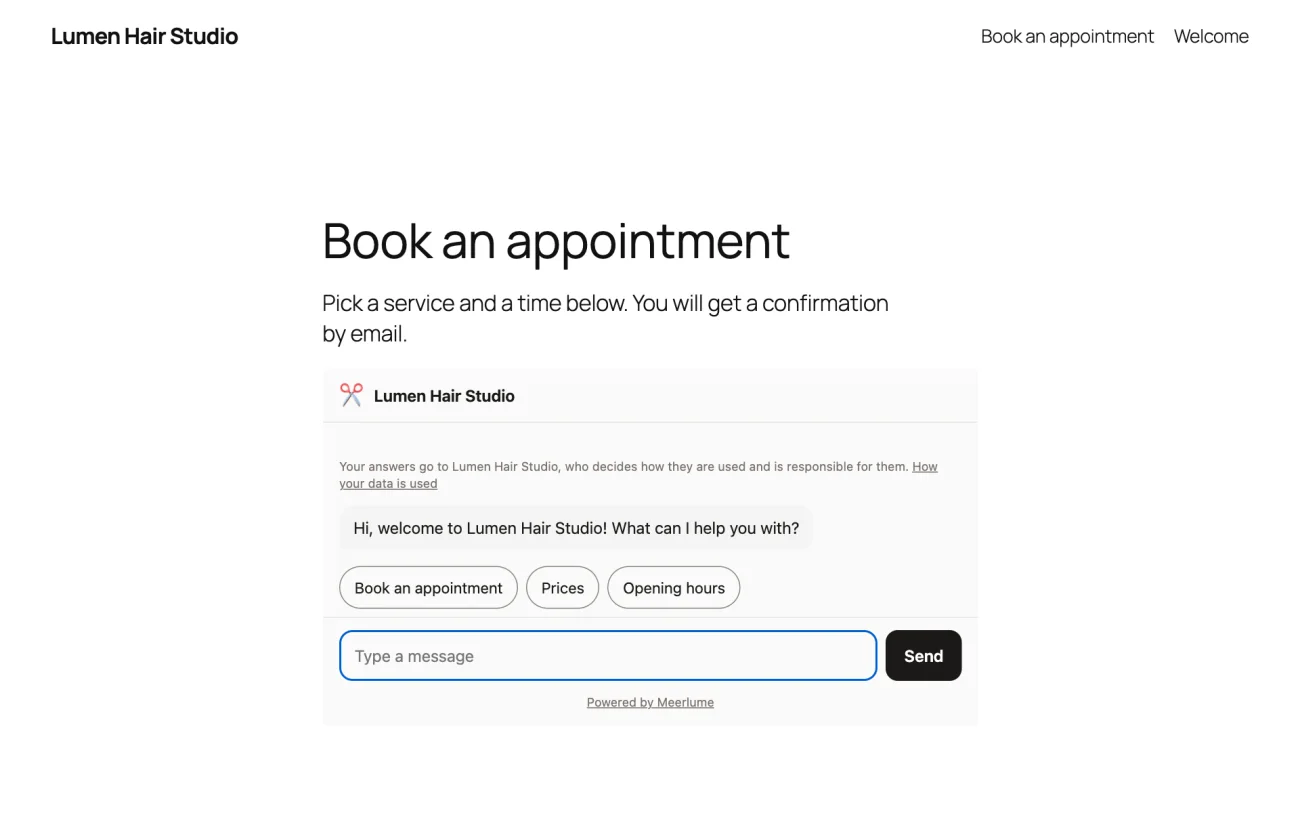 A Book an appointment page with the chat placed inside it by the shortcode